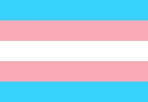 trans flag 