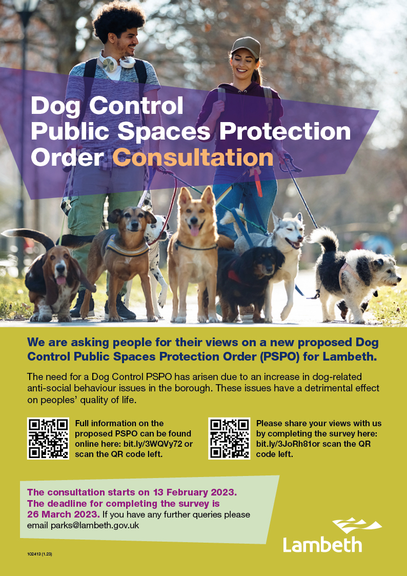 dog asb consult