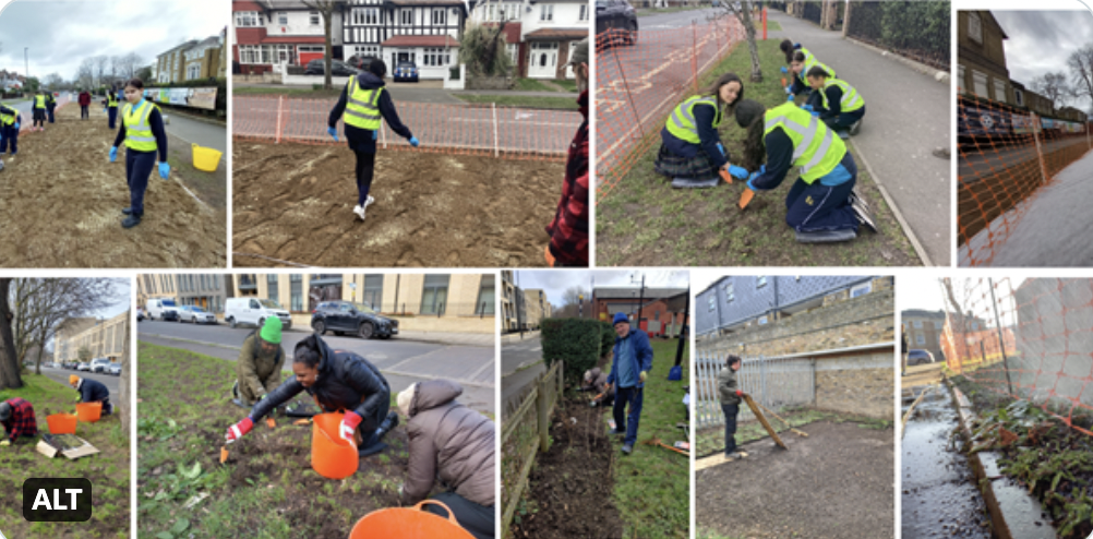 Volunteers and staff planting on Deronda Estate