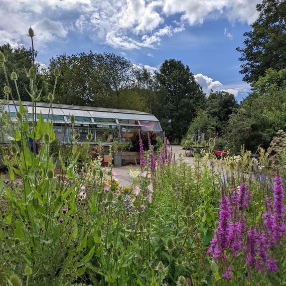 Brockwell Park Community Greenhouses