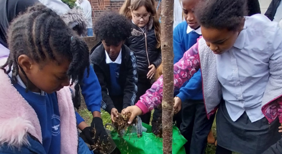 Pupils planting a tree 