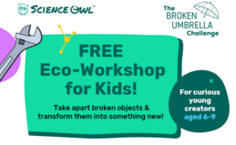 The Broken Umbrella Challenge