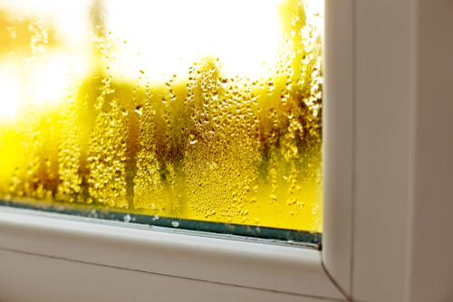 Window condensation