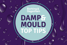 Damp and mould