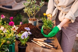 Gardening