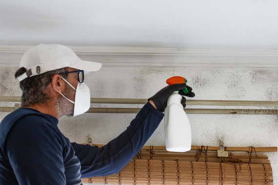 damp and mould