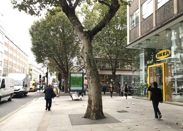 Tottenham Court Road Trees