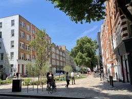 Image of Alfred Place
