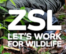 zsl