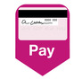 Pay logo