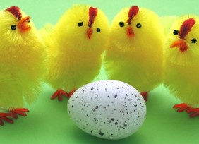Easter chicks with egg