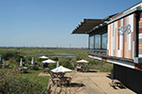 RSPB Visitor Centre Rainham Marshes