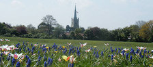 St Andrews Park Meadow