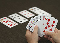 bridge cards