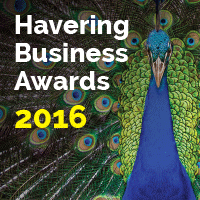 Havering Business Awards 2016 square logo