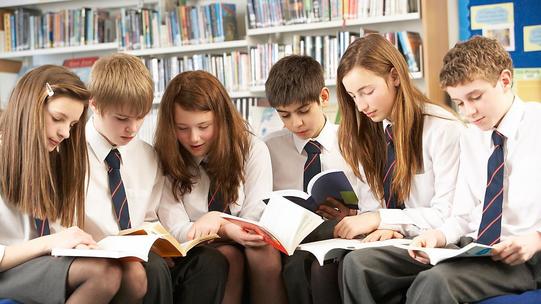 Secondary School Children