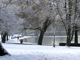 Snow in Raphael Park