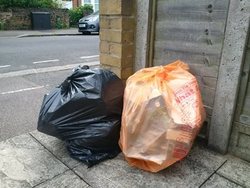 Rubbish sacks one black one orange