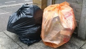 Rubbish sacks one black one orange