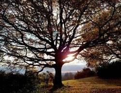 Land of the Fanns phography competition 2018