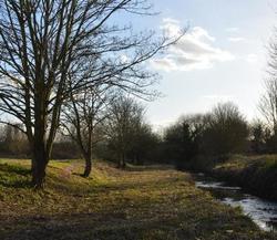 Land of the Fanns resized