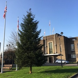Christmas tree at Town Hall Dec 2018