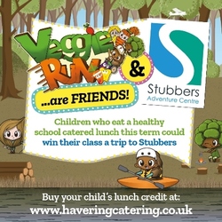 Veggie Run mid Jan 2019 advert