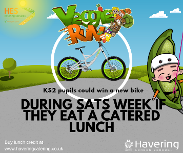 Veggie Run bike competition May 2019