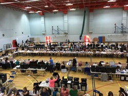 Euro elections count 2019