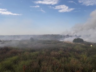 Rainham fire July 2019