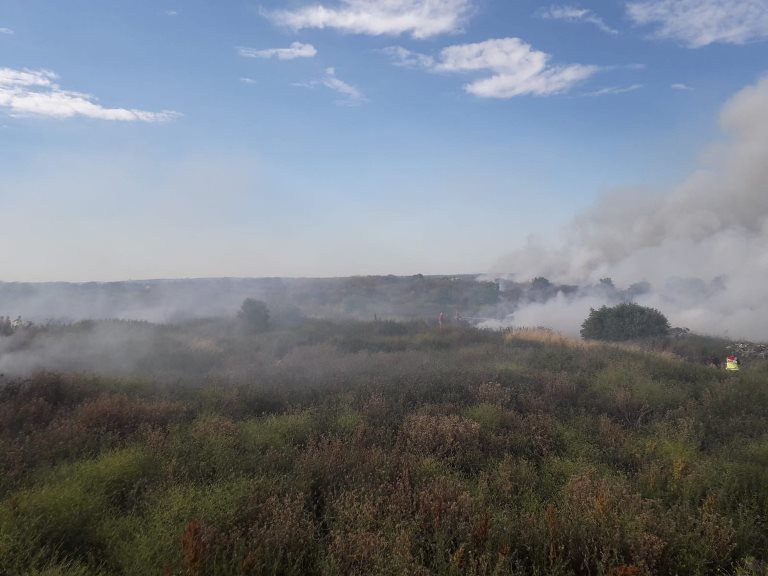 Rainham fire July 2019