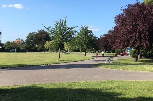 Hylands Park in the sunshine June 2020