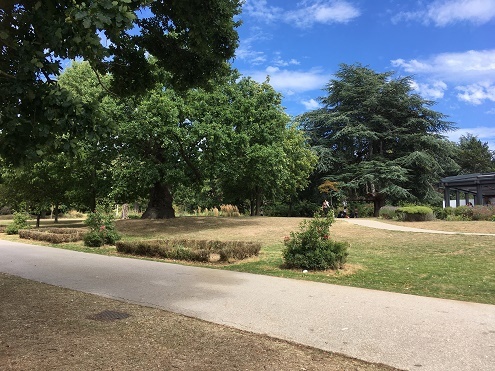 Raphael Park in sunshine Aug 2020 495px wide