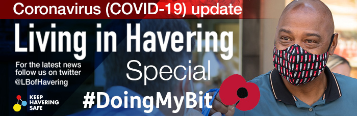 DMB Living masthead with poppy