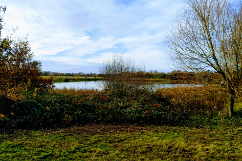 Bedfords Park lake Nov 2020
