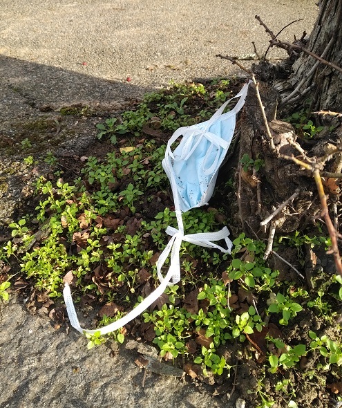 Discarded face mask in street