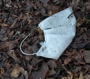 Discarded face mask in street