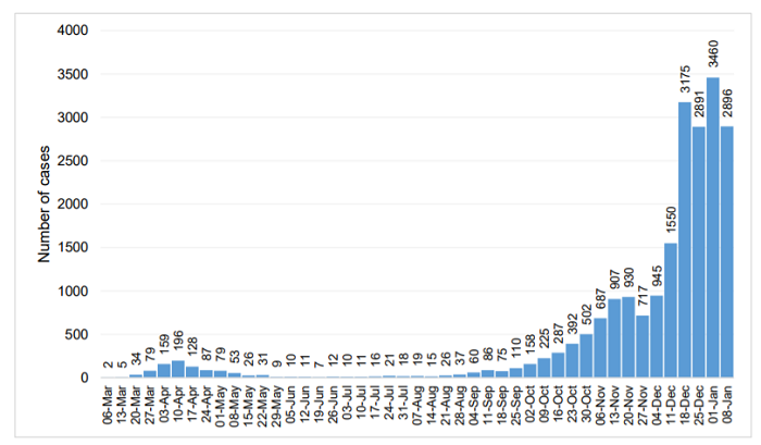13 Jan infections graph