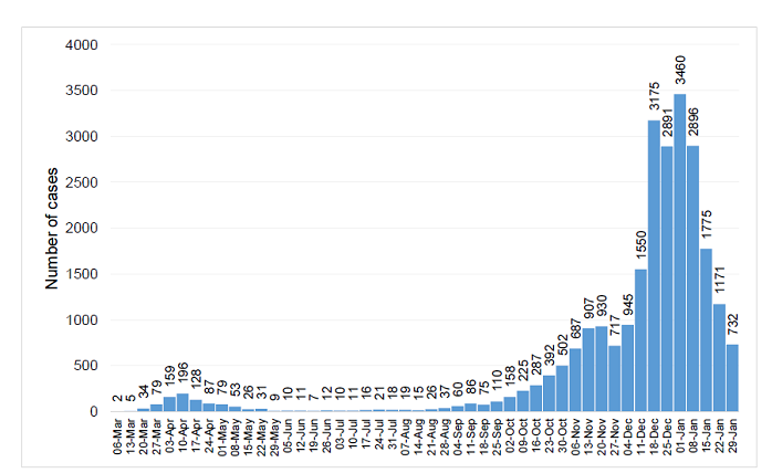 Infections graph 3 Feb 2021