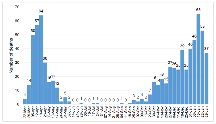 COVID-19 deaths graph up to 29 Jan 2021