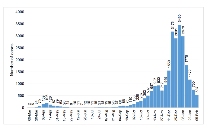 9 Feb COVID infections graph
