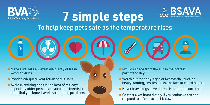 Keeping pets safe in heat banner