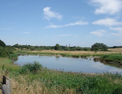 Hornchurch Country park view over river and reed beds
