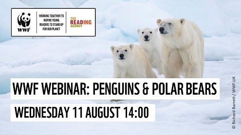Polar bears webinar Aug 2021