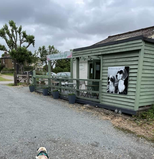 Resevoir Dogs business