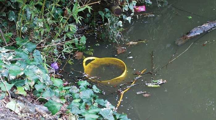 Rubbish in lake in Raphael's Park