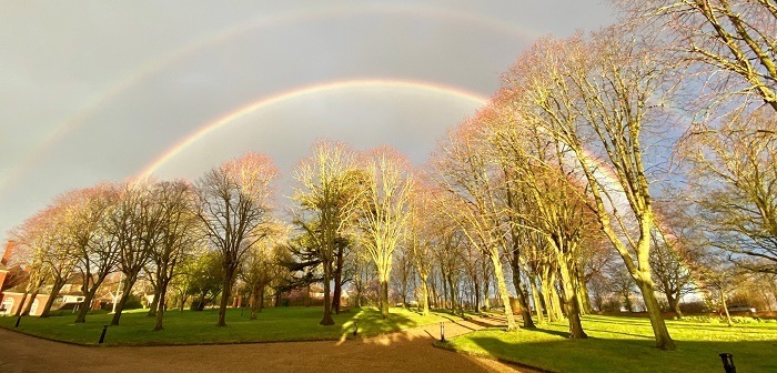 Trees and rainbow at Upminster Court Pic by Wayne Sullivan