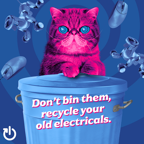 Hypnocat recycling campaign Oct 2021