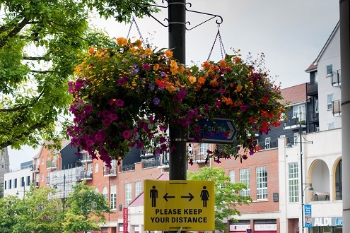 Hanging basket in Romford Market Place Sep 2021