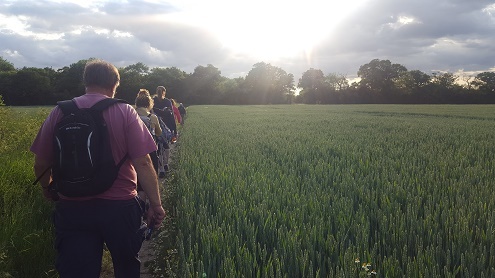 Land of the Fanns Upminster Walk